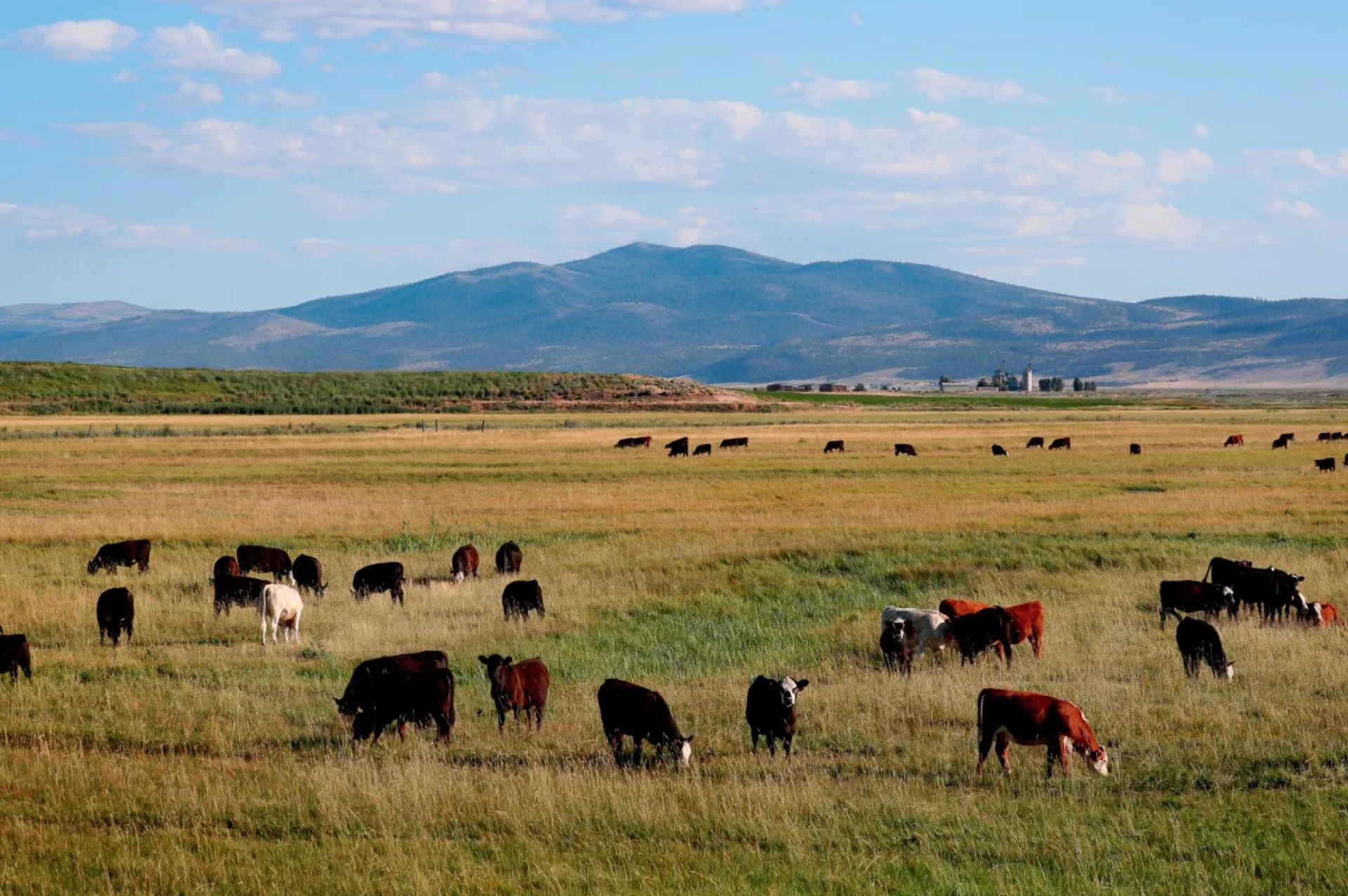 Escape the City to Beautiful Modoc County in Northeast California! - Image 7 of 10