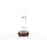 Original Glashütte astatisches Nadelpaar, altes Uhrmacherwerkzeug, unter Glasdom, auf Holzsockel,