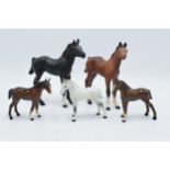A collection of Beswick foals to include foals 2536 in a black and matt brown colourway, a grey foal