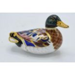 Royal Crown Derby paperweight in the form of a mallard duck. First quality with stopper. In good