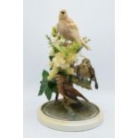 A 20th century taxidermy arrangement of 3 various birds (with tags to legs) realistically set