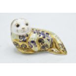 Boxed Royal Crown Derby paperweight in the form of a Harbour Seal, limited edition. First quality