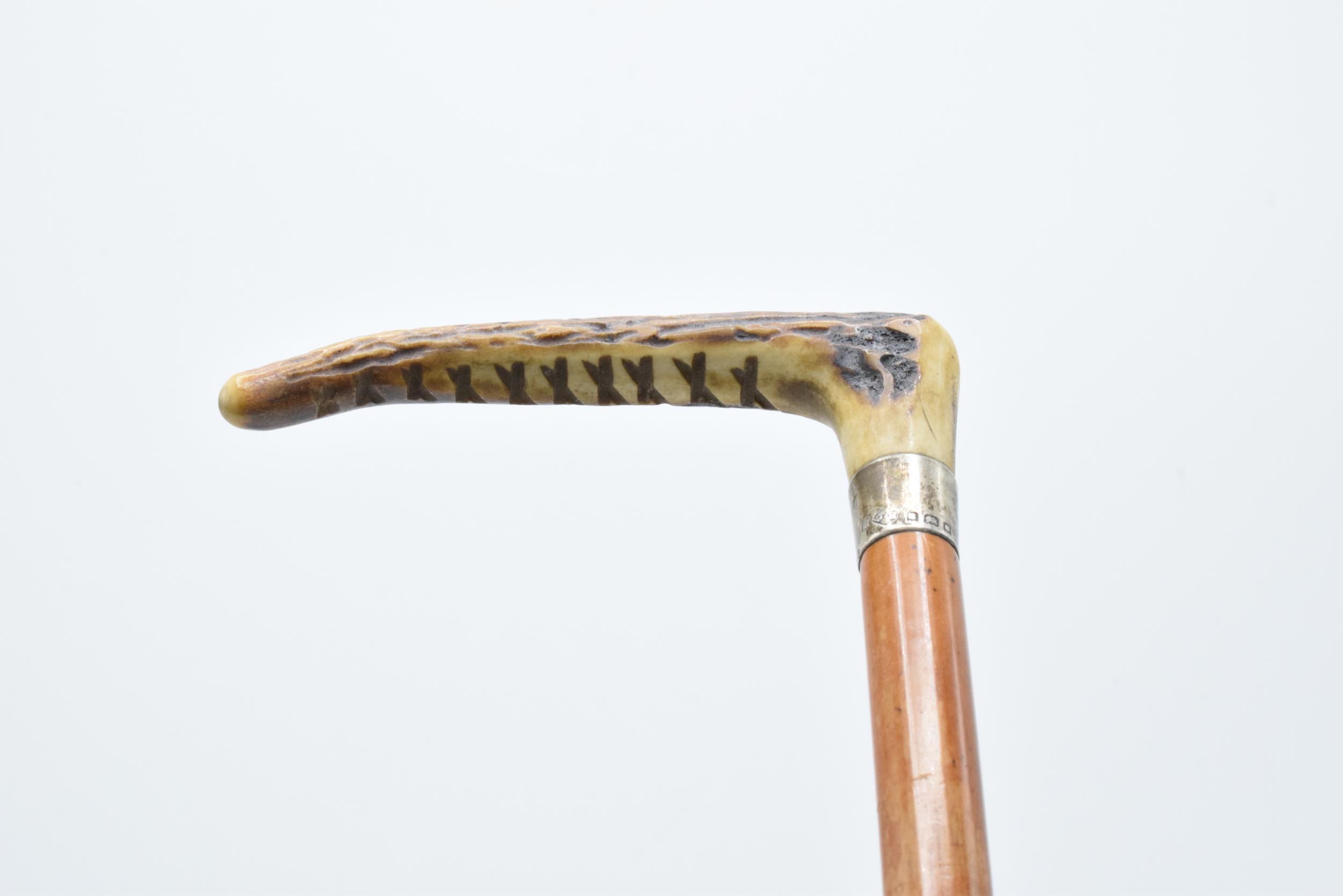 A silver collared wooden and horn handled riding crop. 51cm tall. - Image 2 of 4