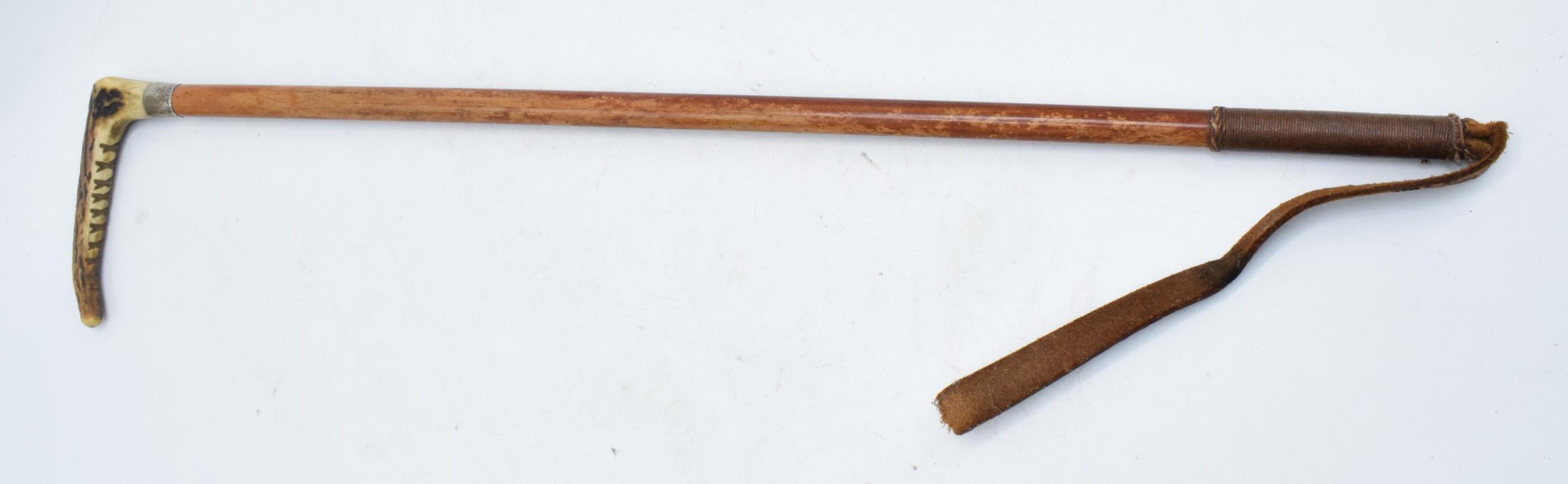 A silver collared wooden and horn handled riding crop. 51cm tall.