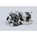 Royal Crown Derby paperweight in the form of Misty the Kitten. First quality with stopper. In good