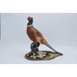 Royal Crown Derby model of a pheasant raised on a ceramic base with raised floral decoration. In