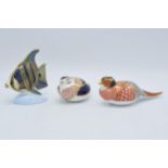 A trio of Royal Crown Derby paperweights to include a pheasant, a bird and an Angel Fish (3). All