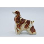 Royal Crown Derby paperweight American Spaniel, first quality with gold stopper. In good condition