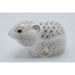 Royal Crown Derby paperweight River Bank Vole, first quality with gold stopper. In good condition