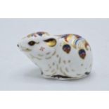 Royal Crown Derby paperweight Bank Vole, first quality with gold stopper. In good condition with