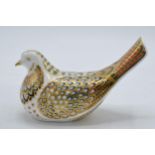 Boxed Royal Crown Derby paperweight Turtle Dove, first quality with gold stopper. In good
