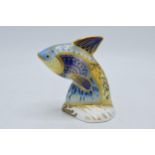 Boxed Royal Crown Derby paperweight, from the Tropical Fish Series, Guppy, 12cms, number 225 of a