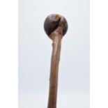 A late 19th century shillelagh / knob stick, 79cm long.