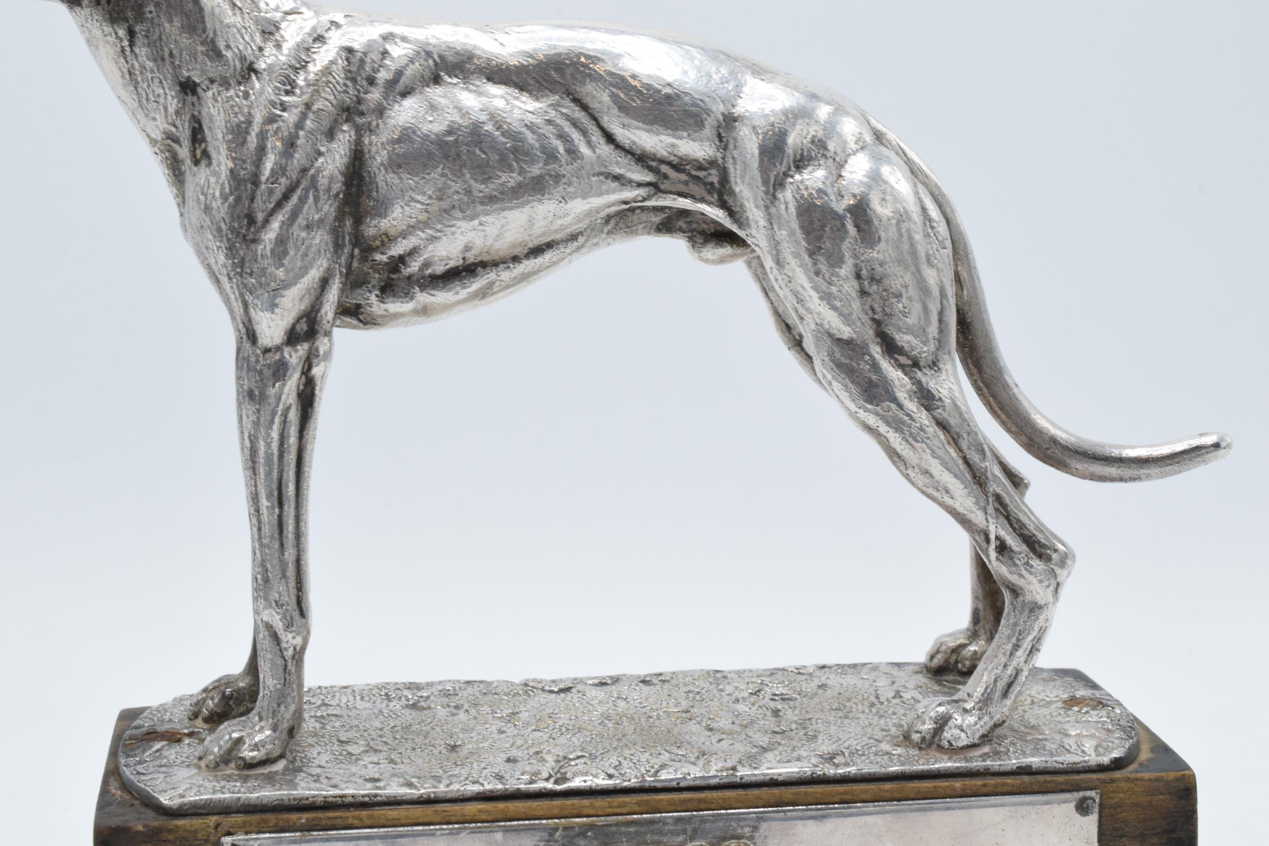 A silver plated model of a realistically modelled greyhound on wooden base with matching plaque ' - Image 5 of 7