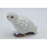 Royal Crown Derby paperweight, Snowy Owl, an exclusive for the RCD Collectors Guild, red Royal Crown