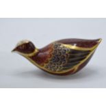 Royal Crown Derby paperweight Coot, first quality with stopper. In good condition with no obvious