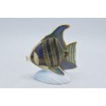 Royal Crown Derby paperweight, Angel Fish with gold stopper and red Royal Crown Derby stamp on the
