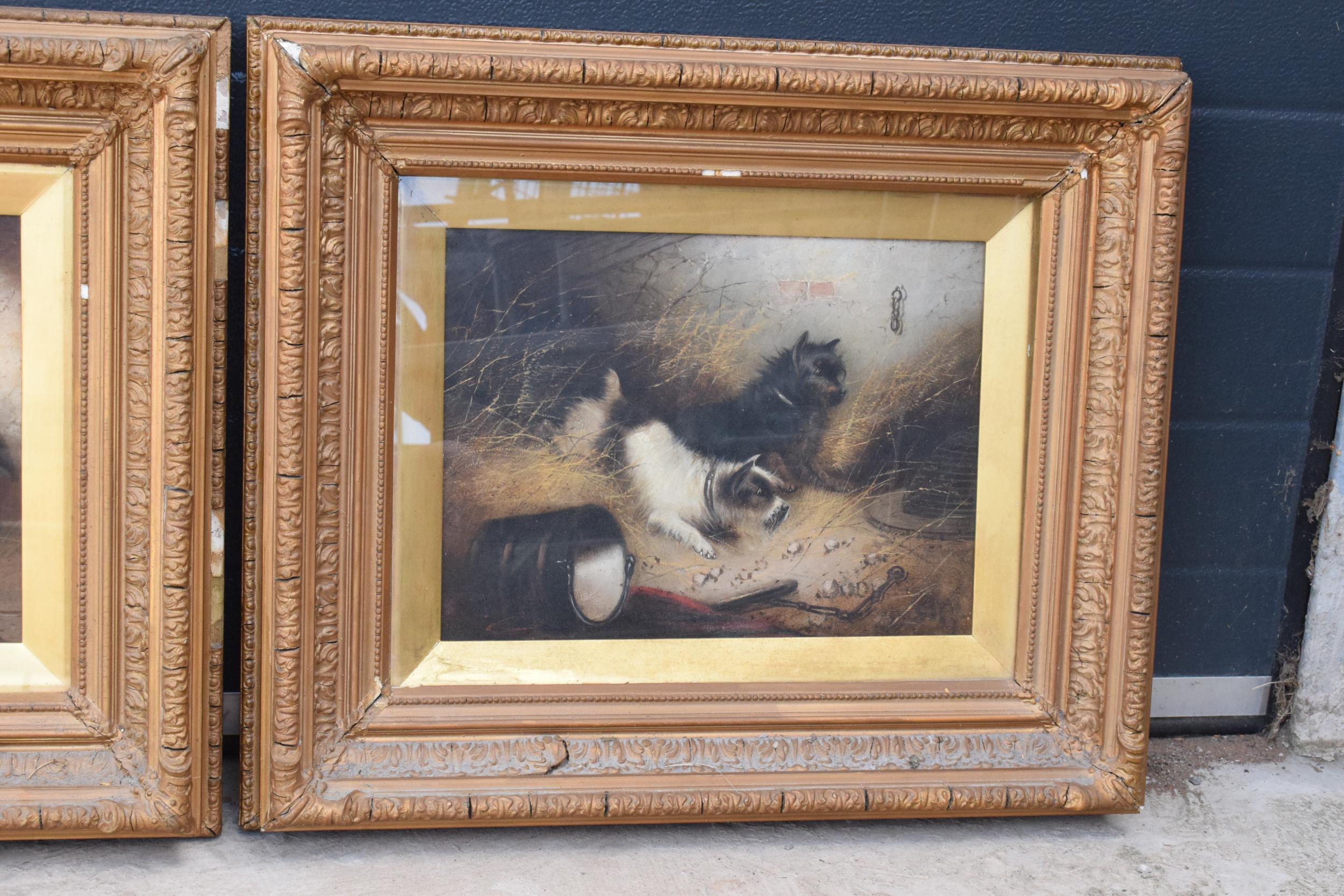 A gilt framed pair of George Armfield oil on canvas paintings with depicting terries with a pheasant - Image 2 of 13