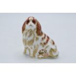 Royal Crown Derby paperweight, Cavalier King Charles Spaniel, gold stopper and red Royal Crown Derby