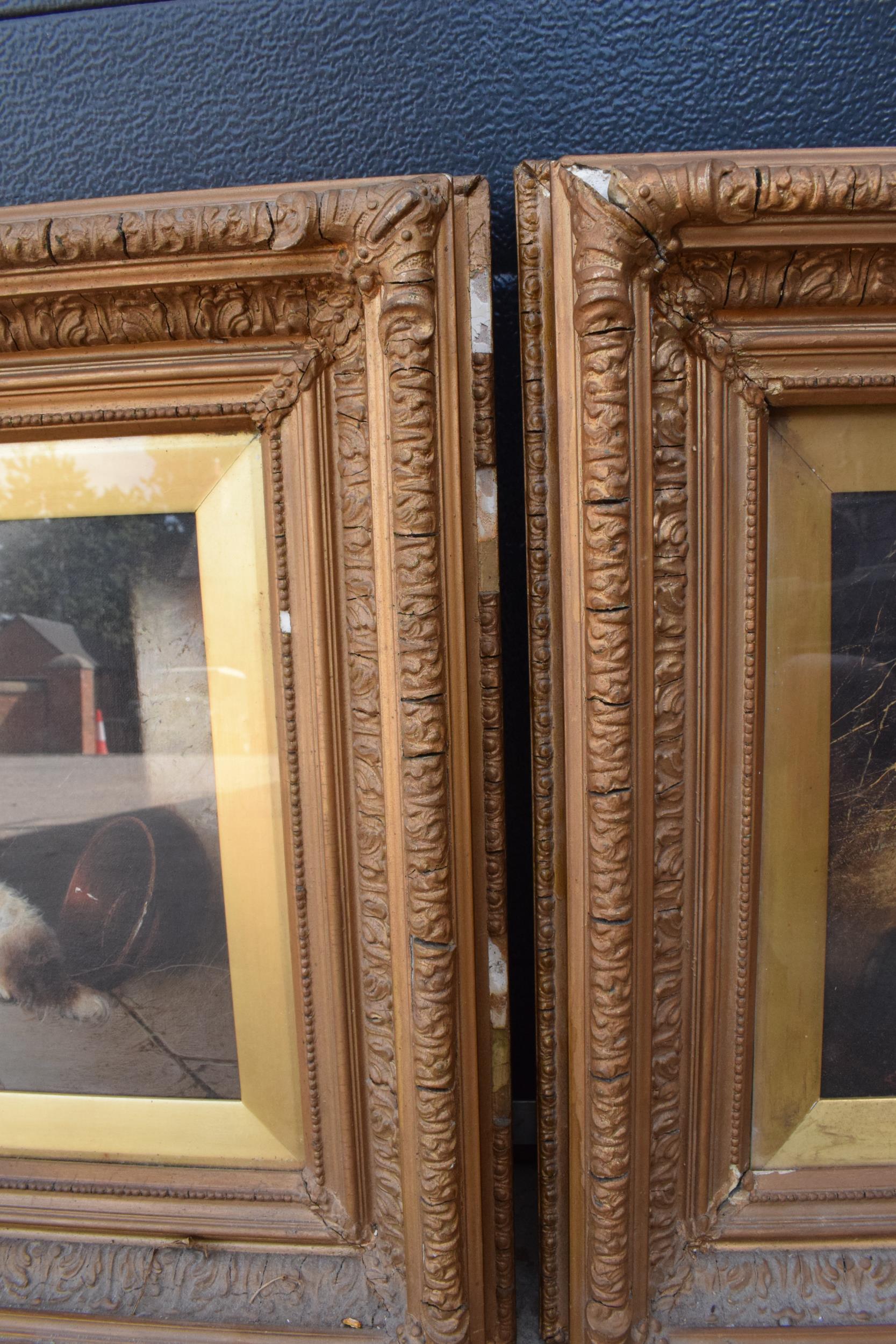 A gilt framed pair of George Armfield oil on canvas paintings with depicting terries with a pheasant - Image 9 of 13