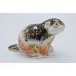 Boxed Royal Crown Derby paperweight, Riverbank Beaver, number 2,674 of a limited edition of 5,000,