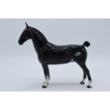 Beswick Hackney horse Black Magic of Nork. In good condition with no obvious damage or restoration.