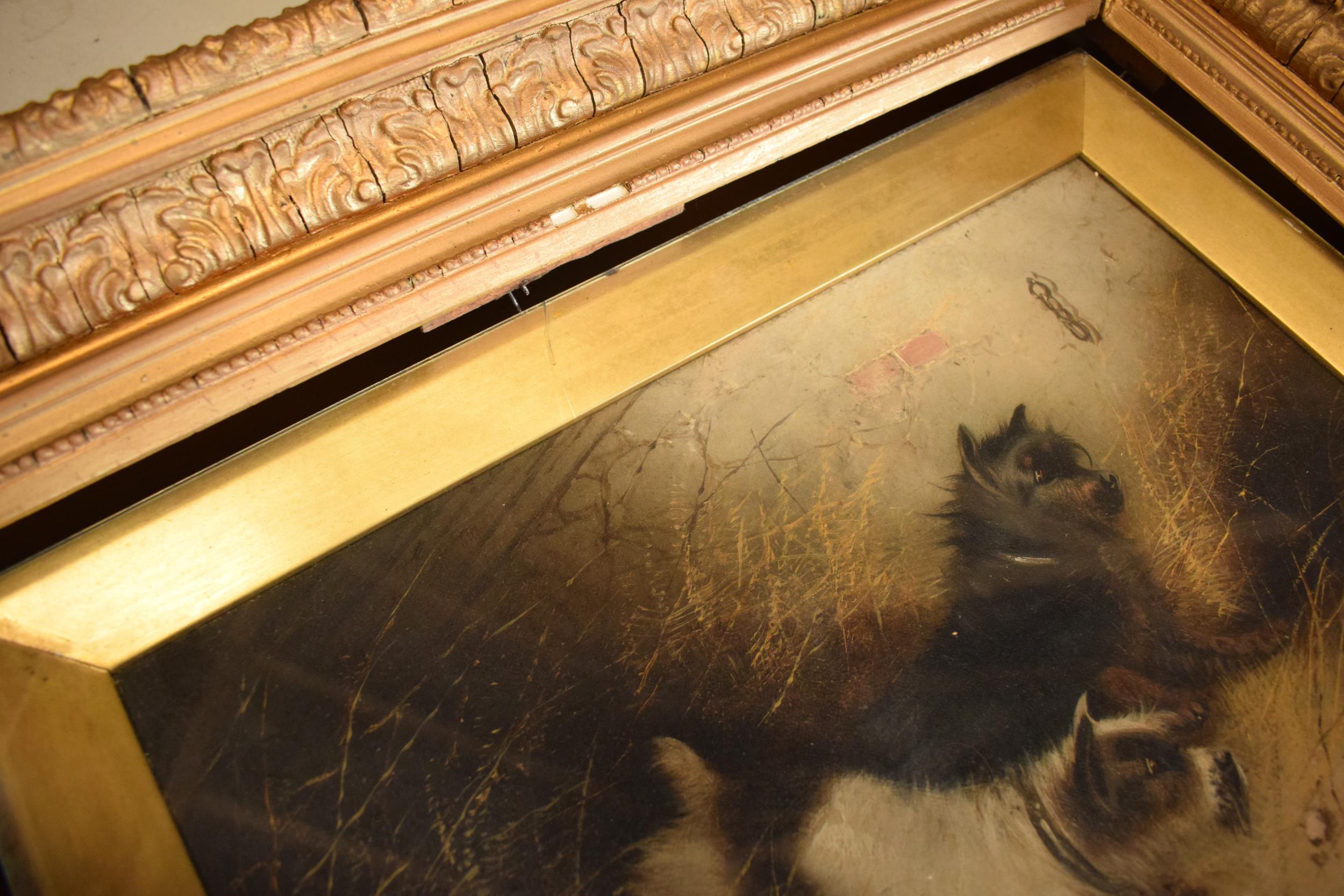 A gilt framed pair of George Armfield oil on canvas paintings with depicting terries with a pheasant - Image 13 of 13