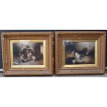 A gilt framed pair of George Armfield oil on canvas paintings with depicting terries with a pheasant