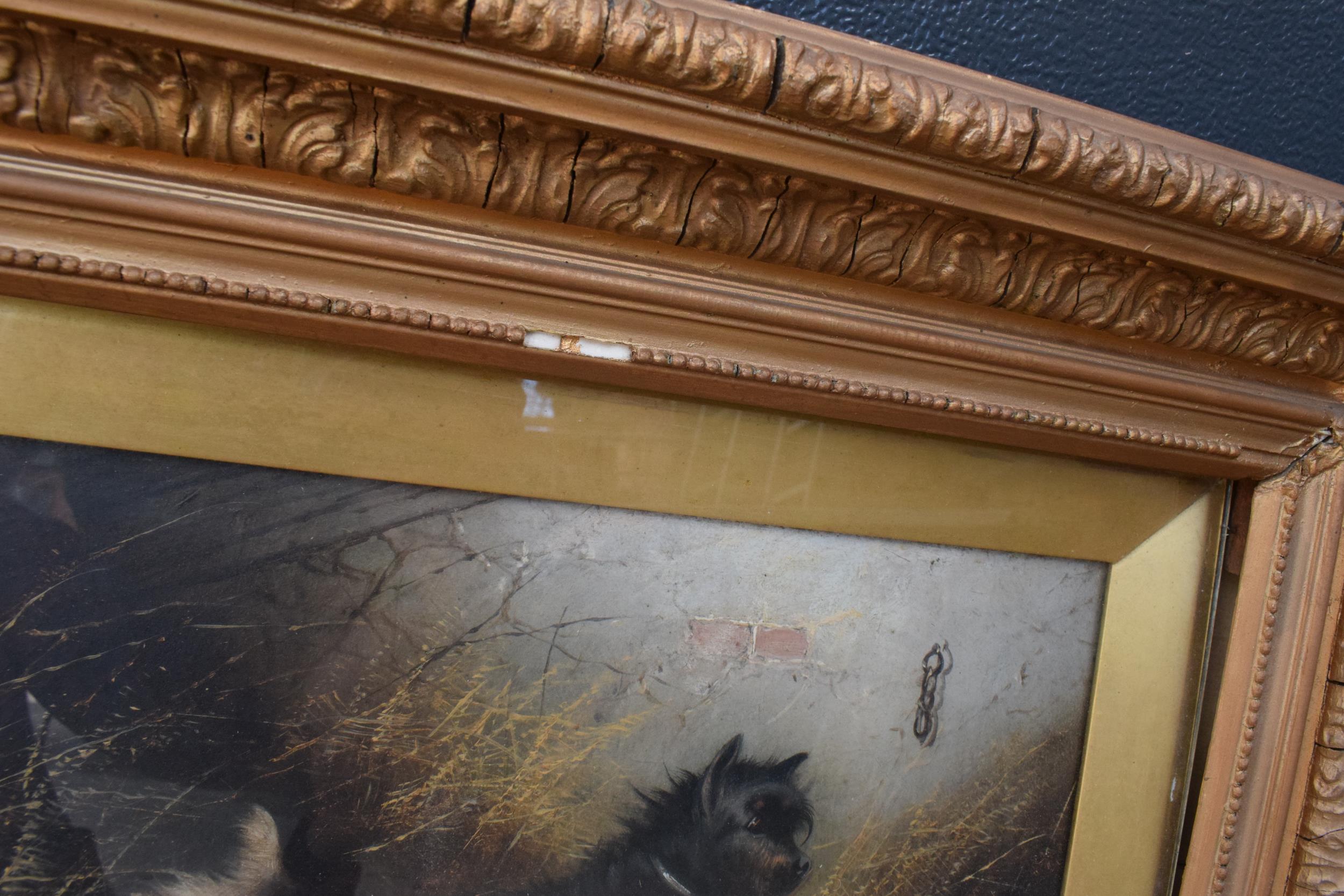 A gilt framed pair of George Armfield oil on canvas paintings with depicting terries with a pheasant - Image 10 of 13