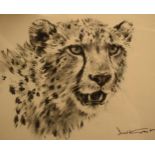Donald Grant MBE (1924-2001) charcoal drawing study of a Cheetah 22 x 27cm exc frame. Signed