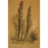 Framed Leslie Gilbert, 1912-2002, original charcoal sketch of a woodland scene with buildings 'Trees