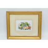 Framed W Rayworth (Ex Royal Worcester artist) painted ceramic plaque with still life fruit scene, 10
