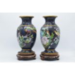 A boxed pair of Chinese cloisonne vases with birds amongst foliage with rich blue background on