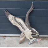 A cast metal wall plaque of an eagle carrying a fish, 67cm tall.