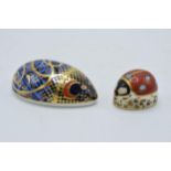 Royal Crown Derby paperweights to include Computer Mouse and 7 spotted red ladybird (2) , first