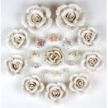 Zwanzig Porzellanblüten