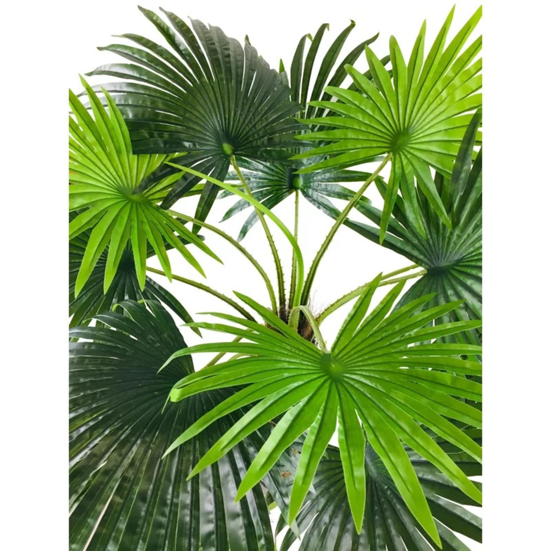 RRP £123.99- Artificial Floor Palm Tree in Pot - Image 2 of 2