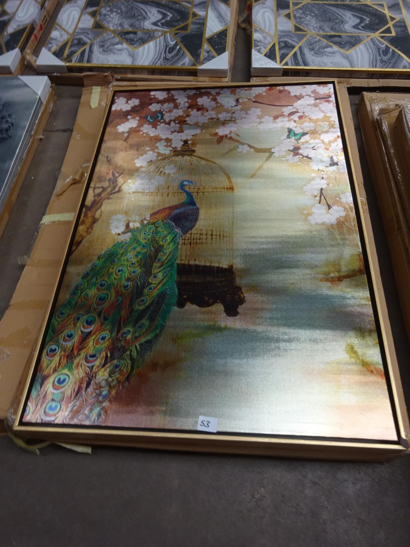 Next Gold Framed Peacock Print