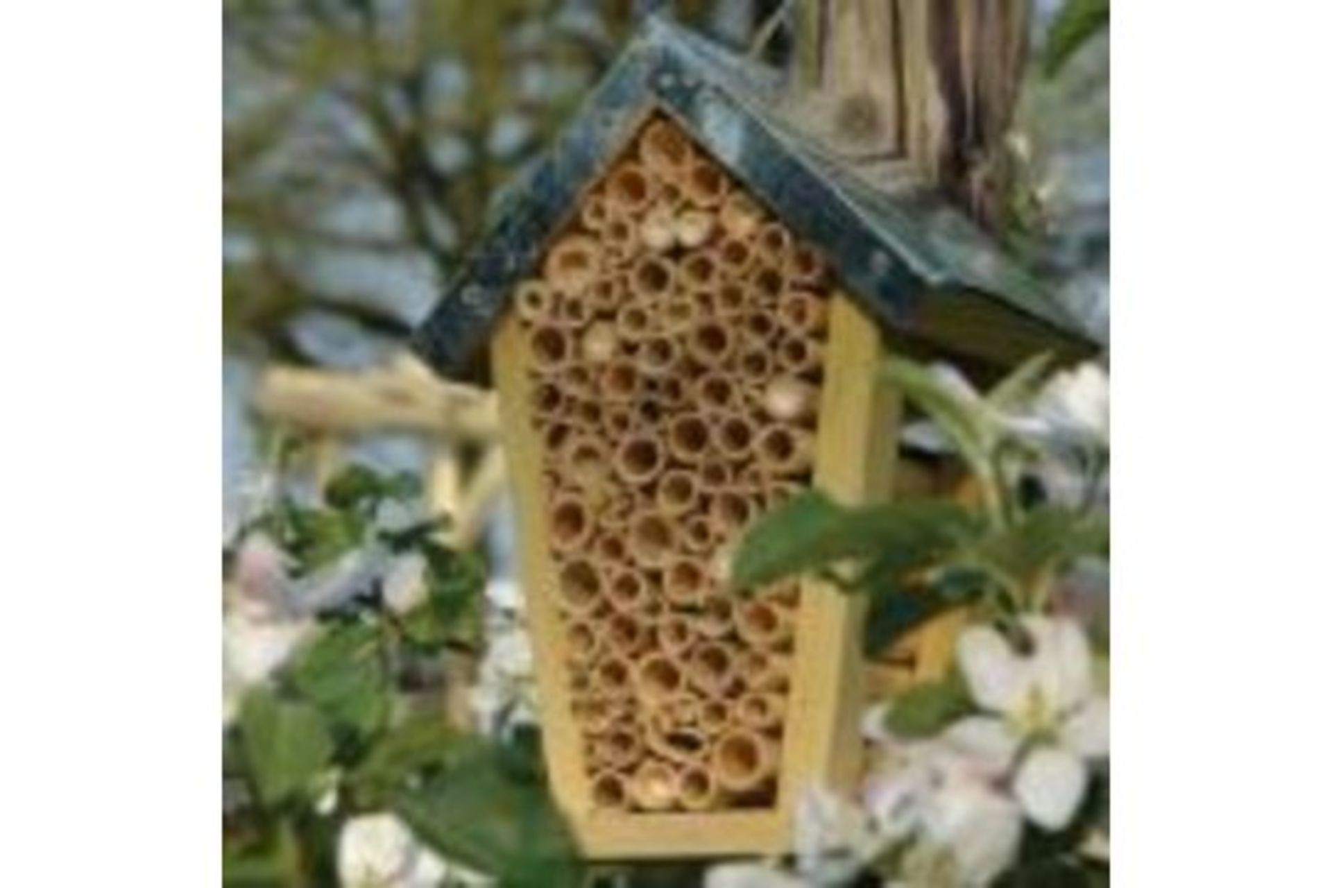 New Fallen Fruits Bee House