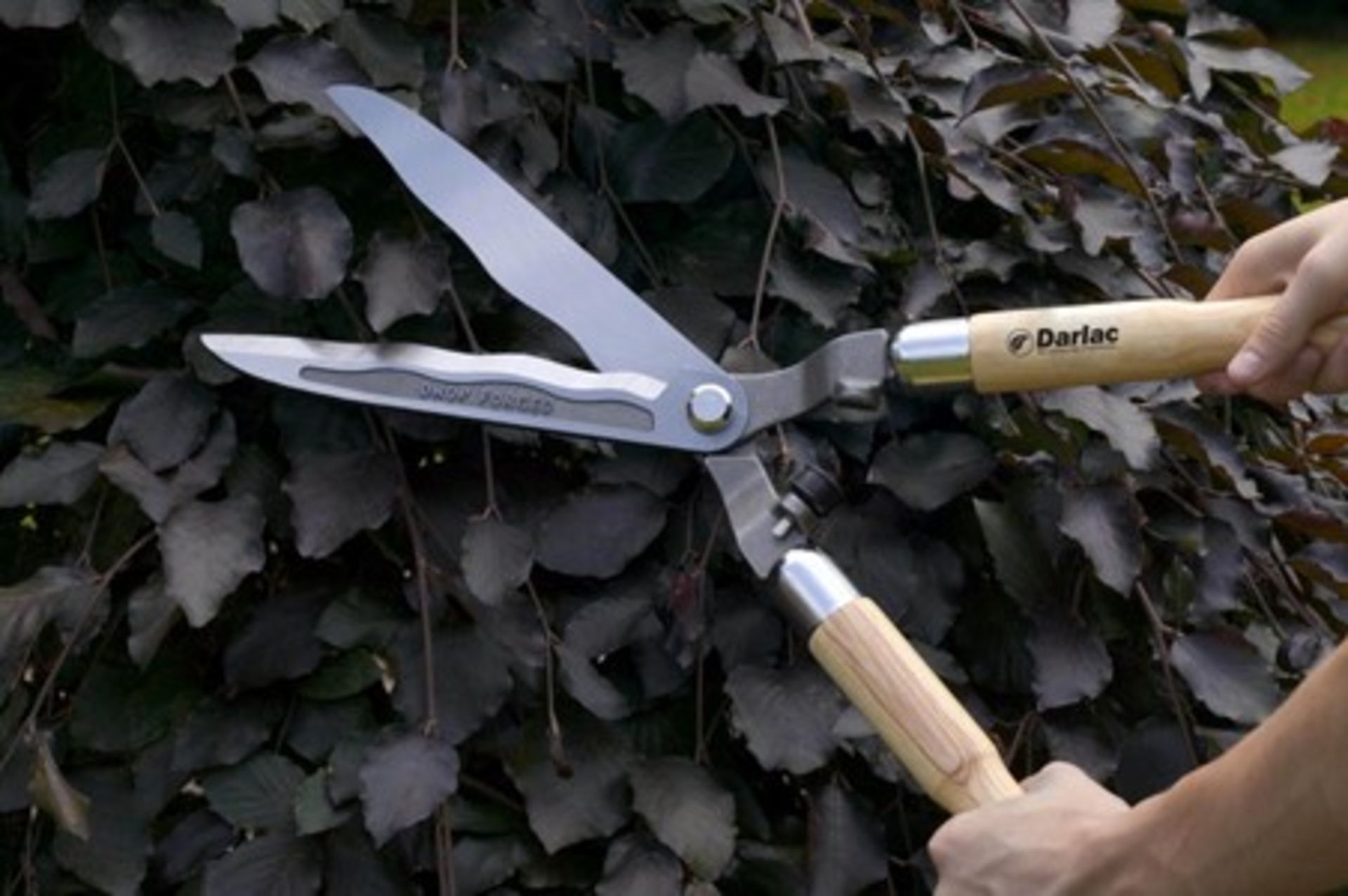 RRP £34.99 - New Darlac Wooden Handled Drop Forged Shears