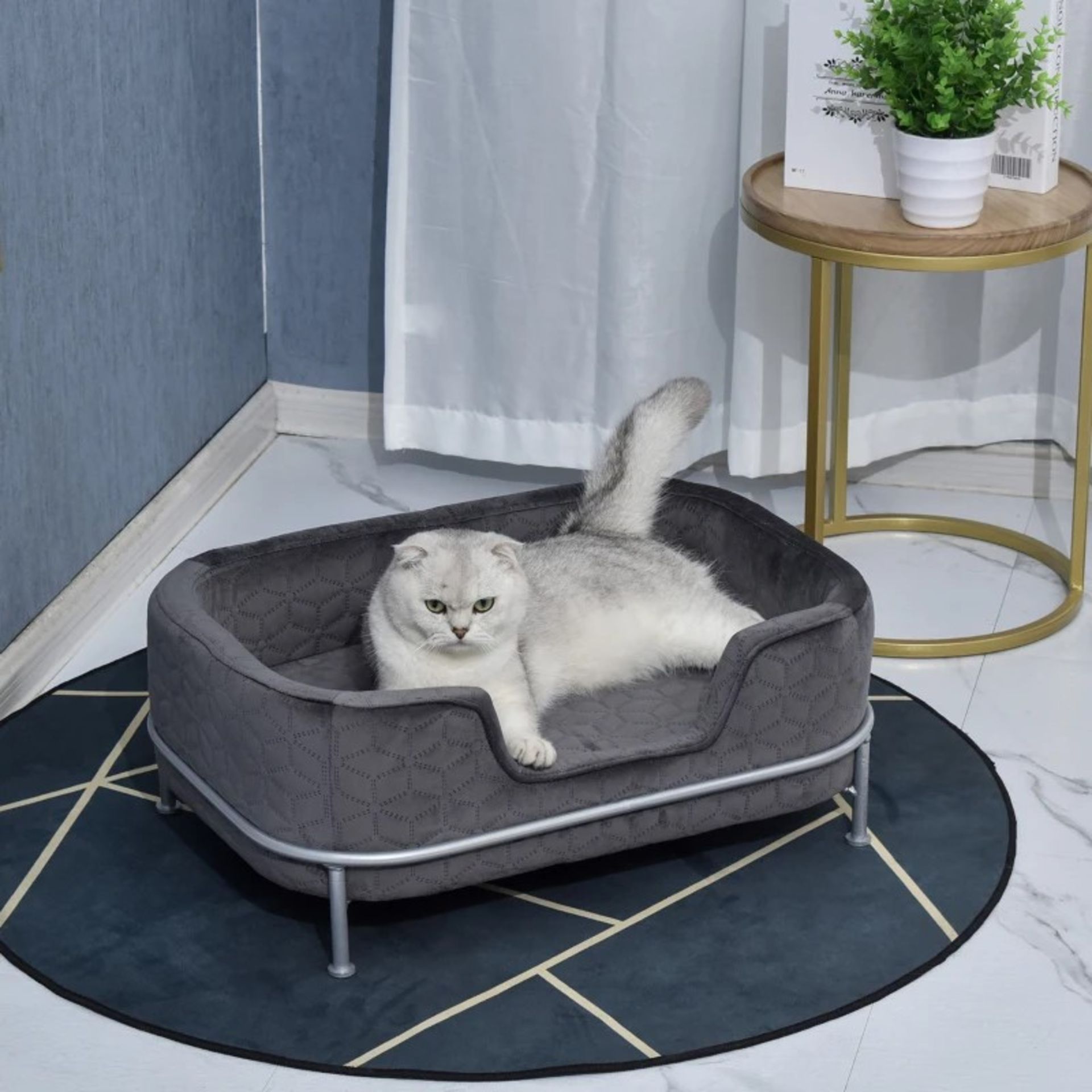 RRP £58.99 - Velvet Upholstered Elevated Small Pet Bed Grey - Image 3 of 4