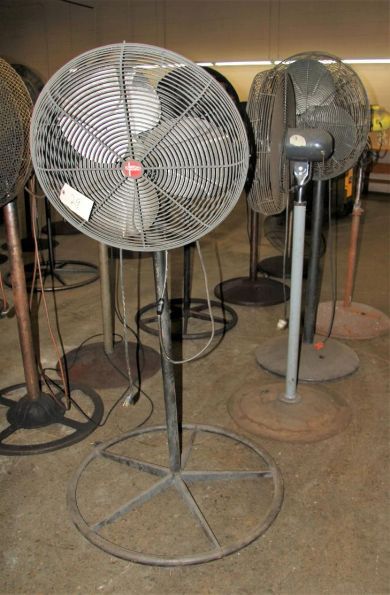 (4) Pedestal Floor Fans