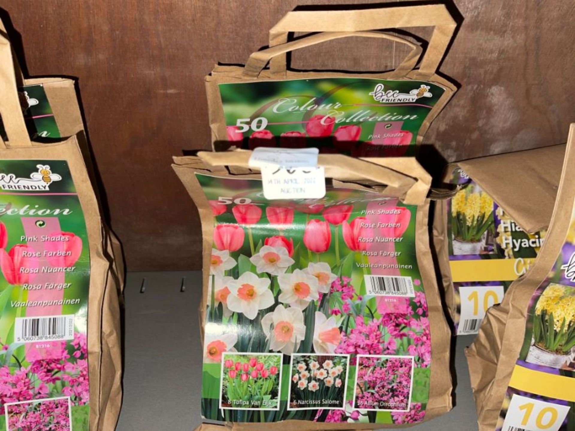 2X PACKS OF 50X BEE FRIENDLY COLOUR COLLECTION BULBS