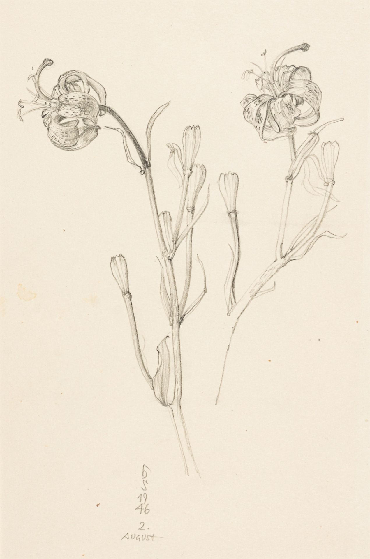 Strohofer, Hans (1885 - 1961) Mixed Lot: Flower Painting, 1935 / Flower Study, 1946 Flower Painting: - Image 5 of 6