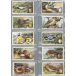 Complete sets in pages - Gallaher, Birds, Nests & Eggs & Will's, Naval Dress & Badges, G - VG, cat