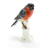 Meissen porcelain figure of a bird, makers mark to base, impressed no. '899', height 14.5cm approx.