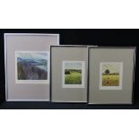 Collection of six prints to include five limited edition colour etchings by artist Mary George. Each