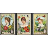 Liebig, S331 National Beauties II (English issue) complete set in a page, VG, cat value £200