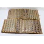 GB & World Coins, mostly GB collection on 24x wooden trays, includes much predecimal silver from