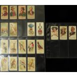 Allen & Ginter (U.S.A.) small collection of 20 cards in pages, cards are The World's Champions x3,